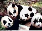 pandaz =P